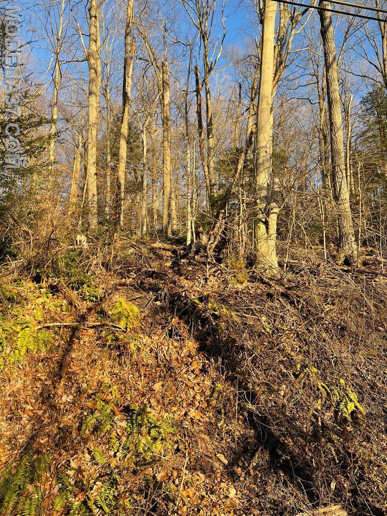 Transformer Explosion Causes 5 Acre Brush Fire in Newlin Township ...